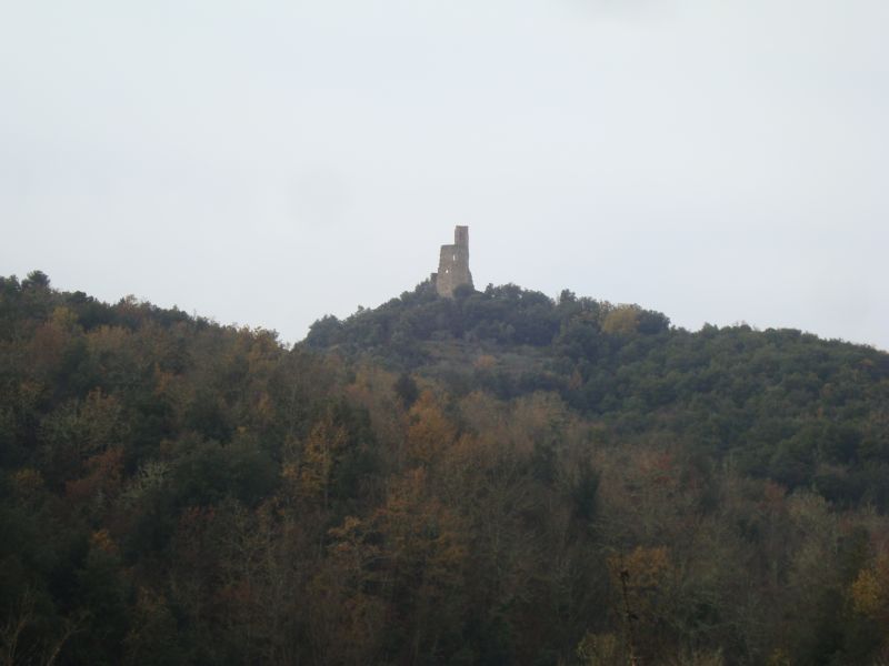 gal/2010/12 - Autunno Inverno 2010 - Le escursioni in MTB/Torre di Crevole/torre.JPG